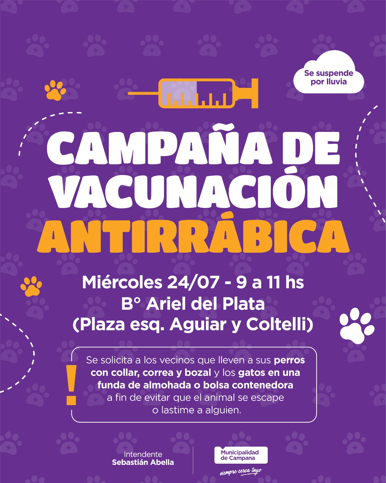 flyer de la actividad provista por el municipio